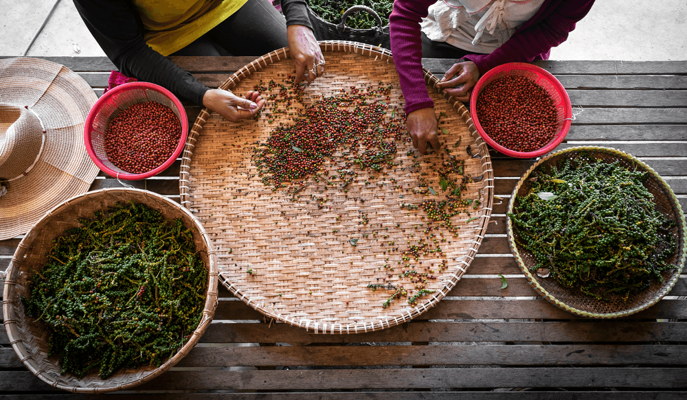 kampot pepper