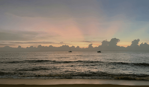 Die Tiere und Pflanzen in Südthailand