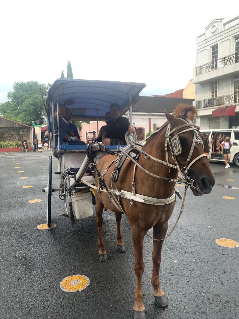 Manila