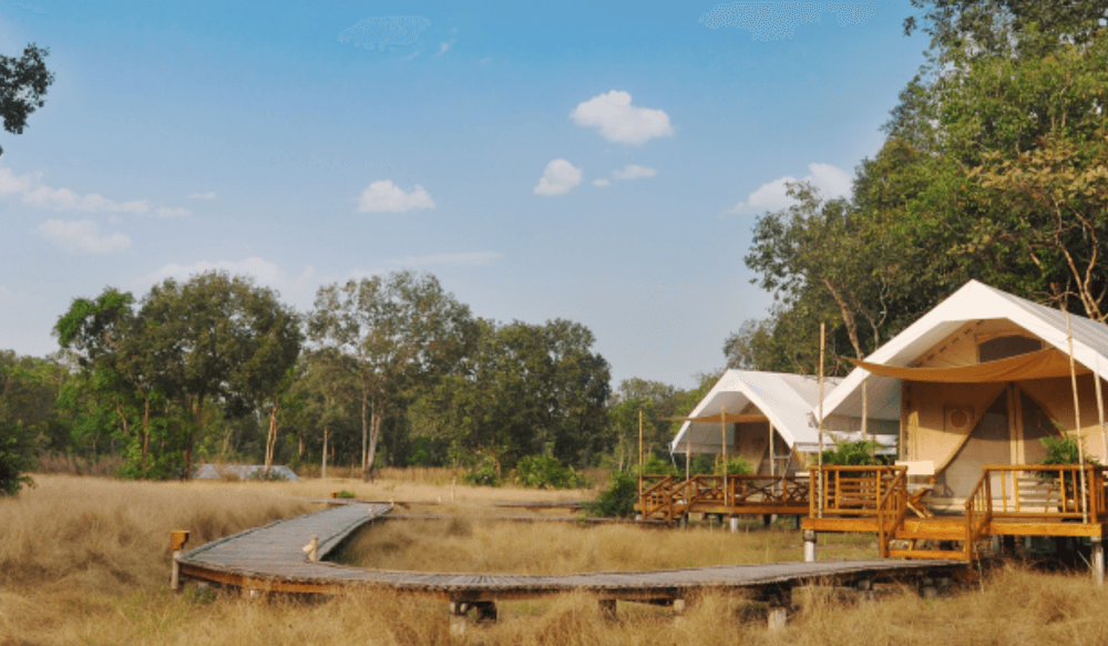 cardamom tented camp