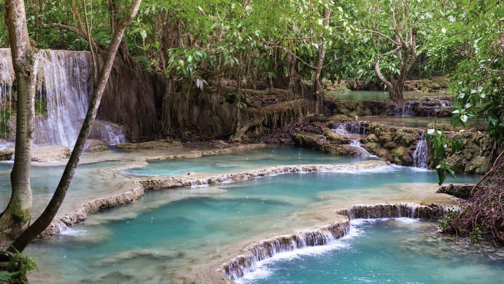 pic main (2400 × 1200 px) (1) (3)