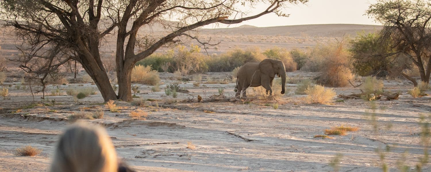circuit en Afrique