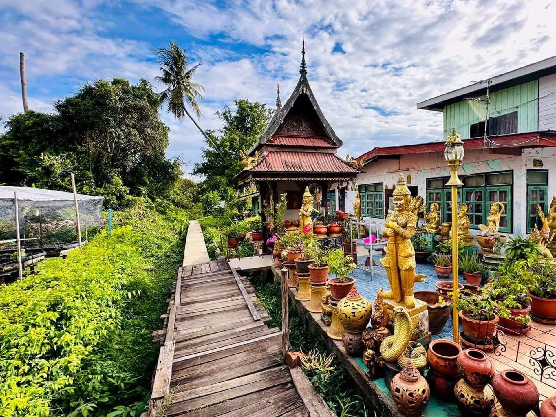 Koh kret