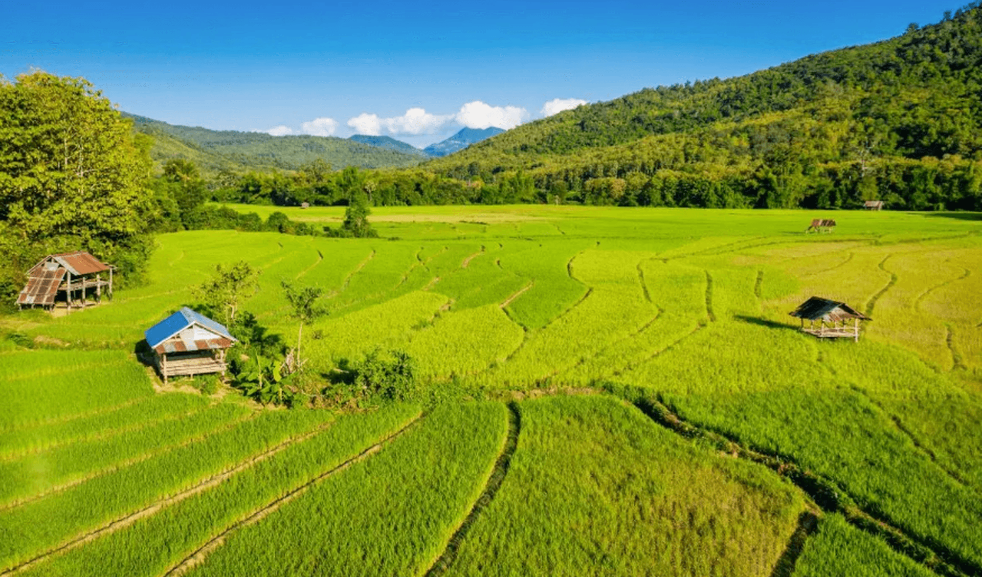 Laos Generic