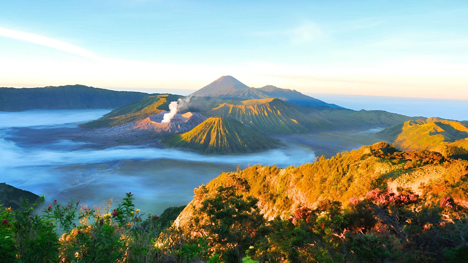 java island
