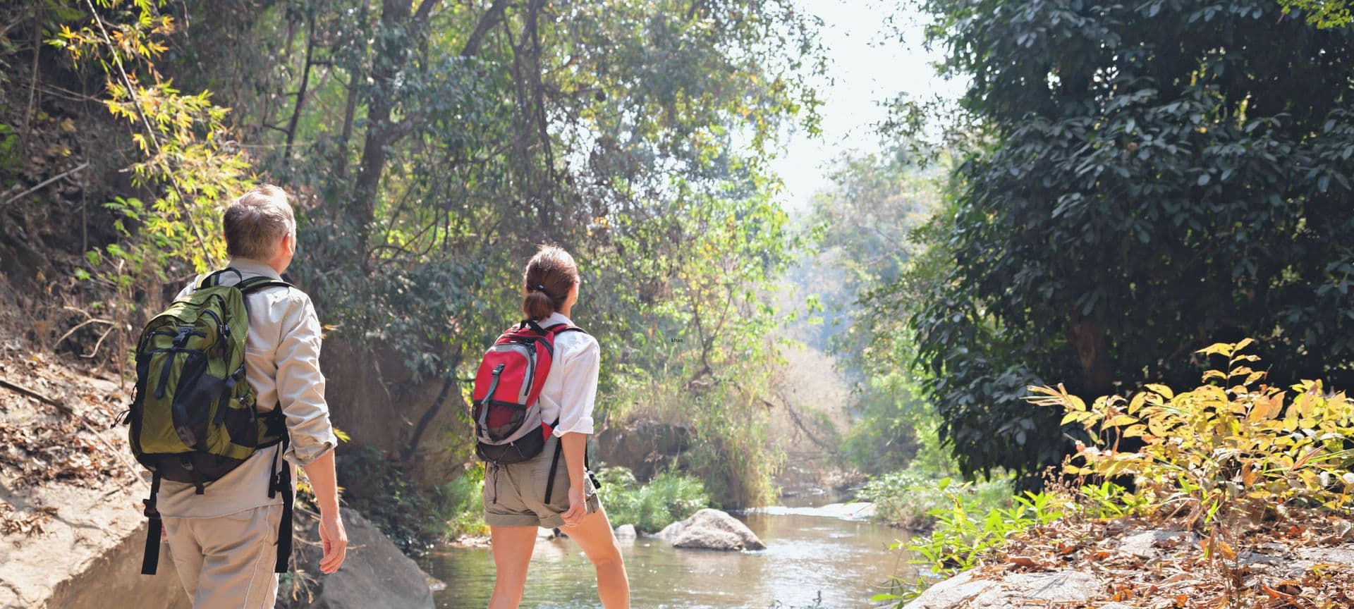 banner thailand trekking forest
