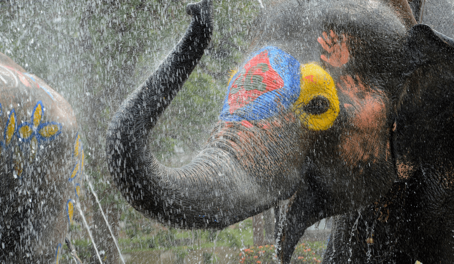 Songkran-Fest: das thailändische Neujahr