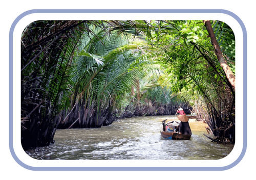 Mekong Delta Vietnam icon thumbnail