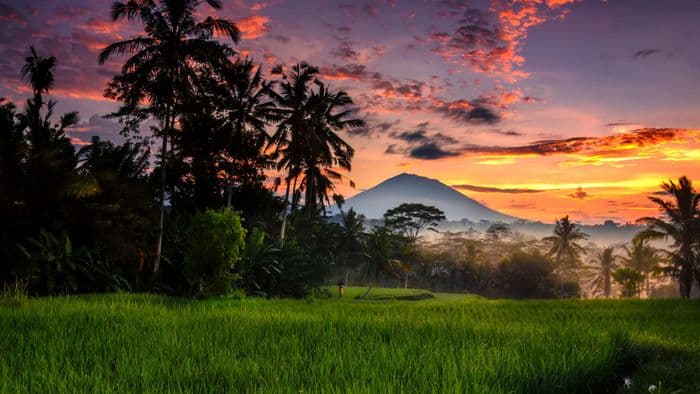 munduk