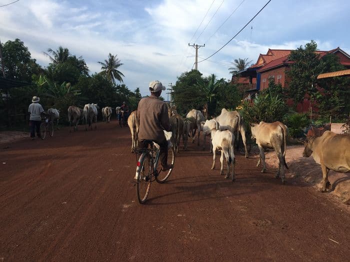 Tonle sap