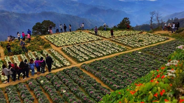 Baguio Baguio Philippinen rundreise kleingruppe Rundreisen Philippines
