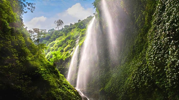 java island