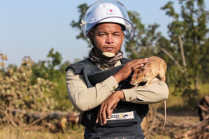 siem reap