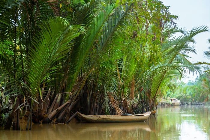Ben Tre Day 12 Mekong Home