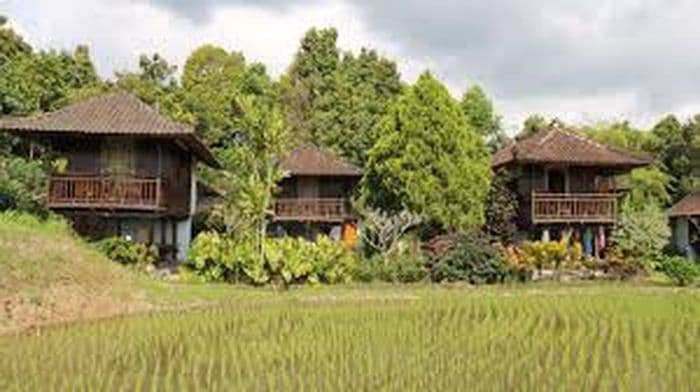 lumbung cottages