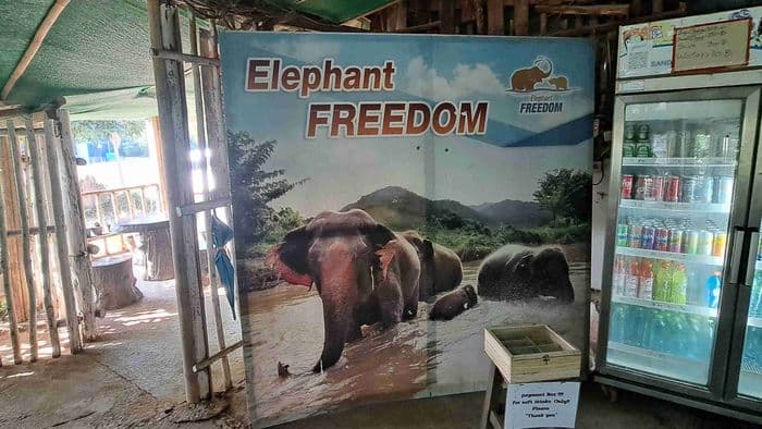 Elephant camp