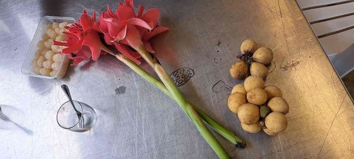 Sutee Organic Farm